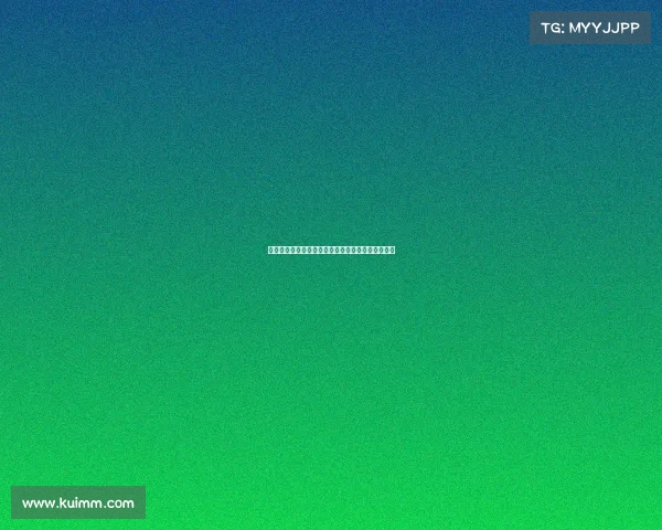 法甲中场新星崛起:技术、视野与控制力的完美结合